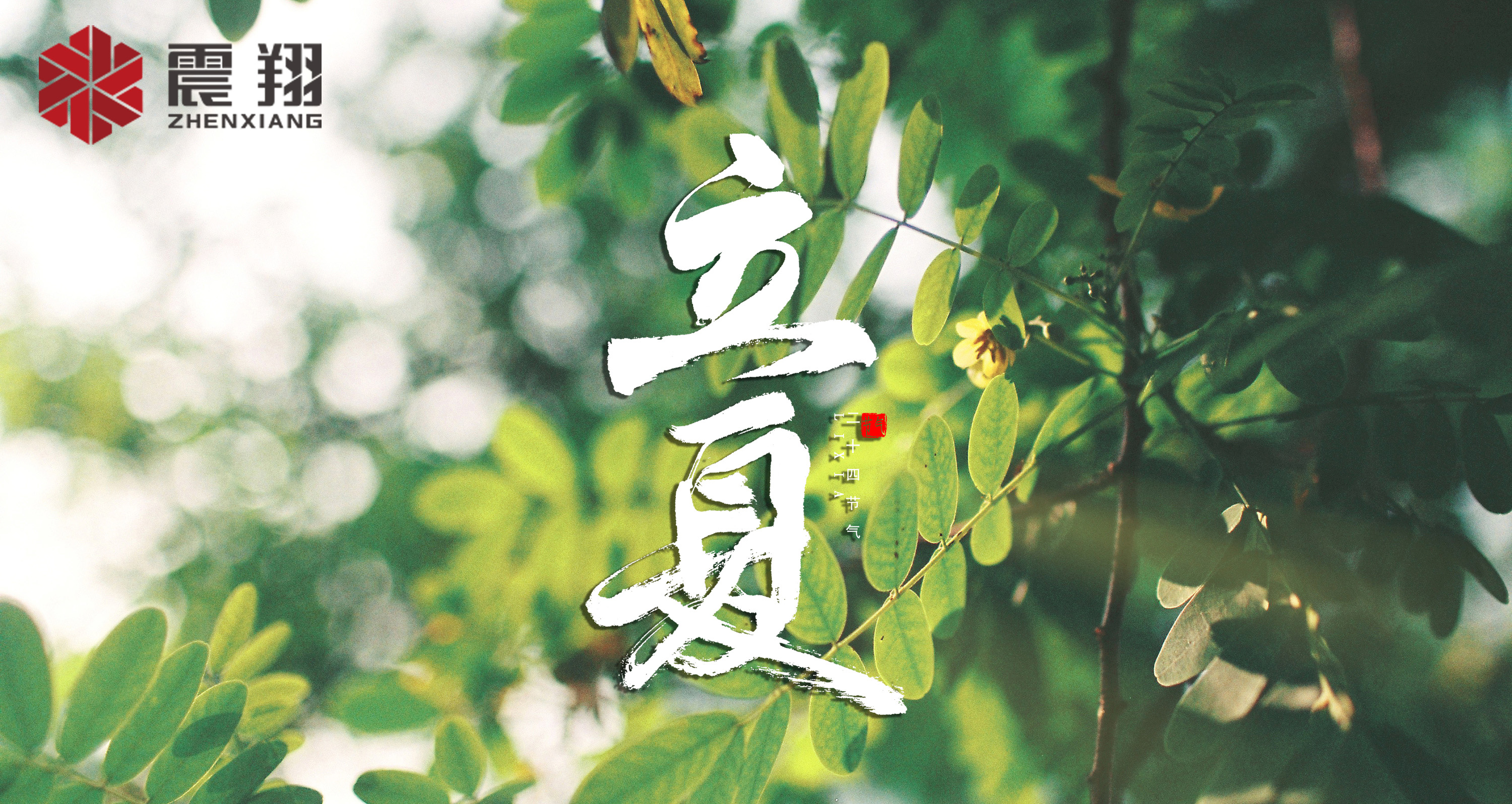 【立夏】春去春來不曾留意,夏日當歸,撲面而來